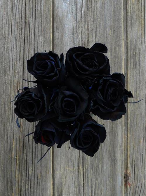  BLACK TINTED ROSES